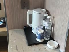 -龙禧盛精品酒店(天津西站店)