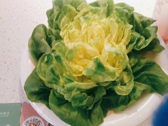 -九孔·筒骨莲藕汤锅(大明宫万达店)