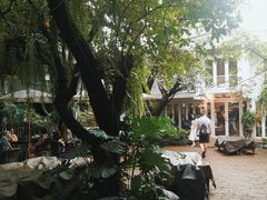 -Fern Forest Cafe