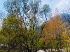-沣峪森林公园龙潭戏水景区