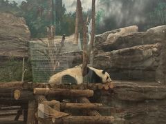 -鄂尔多斯野生动物园