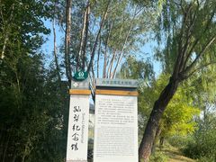 -荷花大观园