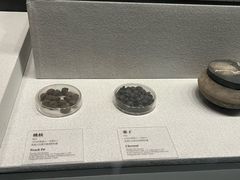 -银雀山汉墓竹简博物馆