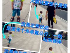 -皇家御河游(紫御湾码头)