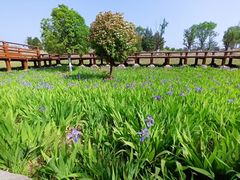 -汉长安城未央宫国家考古遗址公园