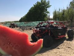 -永定河休闲森林公园