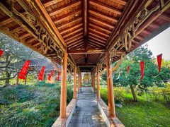-杭州植物园