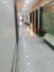-雍禾植发