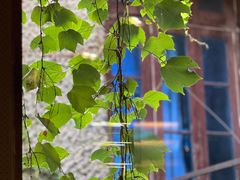 -巴厘龙虾·榜首油焖大虾(洞庭·艺术洋房店)