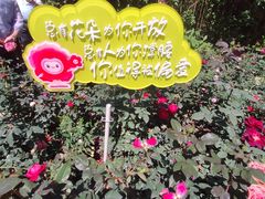 -人民公园(罗湖区)