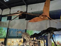 -湖南省地质博物馆