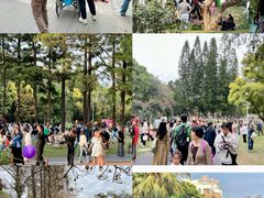 -人民公园(罗湖区)