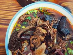 -祥源·阜阳生态乐园