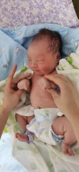 -沈阳市妇幼保健院(沈州路院区)