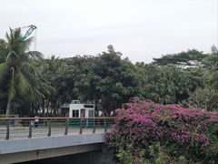 -深圳湾公园(南山区)