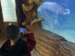 -华夏文旅海洋公园