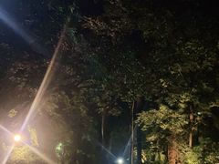 -宋宴(虎跑店)