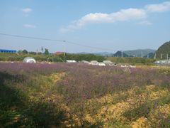 -贵阳蓬莱仙界