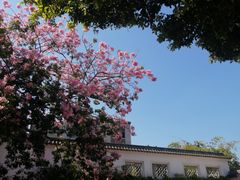 -广州西关永庆坊旅游区