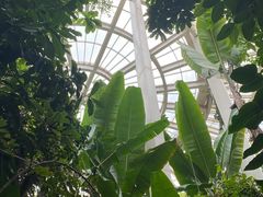 -昆明植物园