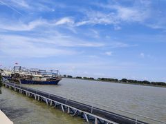 -大湾区中央湿地公园-十九涌