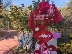 -黛秀湖公园