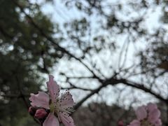 -穹窿山景区