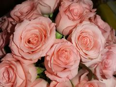 -胡桐里音乐酒馆(孝南店)