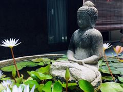 -巴厘岛黄金金兔咖啡工厂