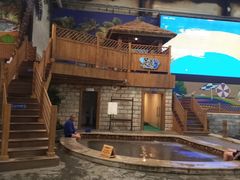 -南宫温泉水世界