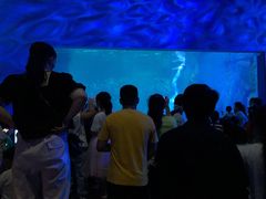 -常州海昌海洋探索馆