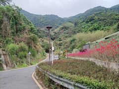 -深圳仙湖植物园
