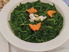 鸡汤桑叶-东江渔村(皇悦店)