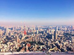 -六本木新城展望台(东京城市景观)