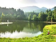 -武陵山森林公园