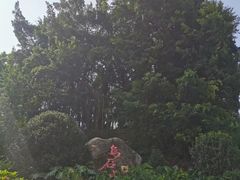-乌山风景区