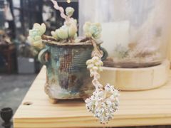 -北马山庄植趣咖啡
