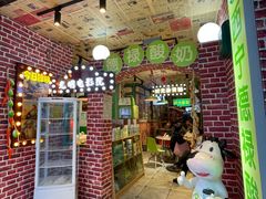 -德禄酸奶(莫家街店)