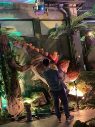 -恐龙探索乐园(磁器口店)