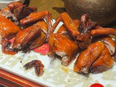 -大鸽饭(动物园店)