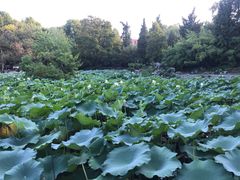 -中国科技大学-专家楼食堂