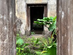 -林寨古村