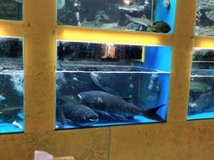 -淳安二十八道·新派民间菜·淳鱼馆(阳光路店)