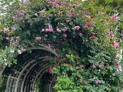 -西山漾湿地公园