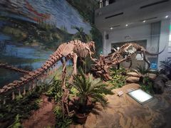 -自贡恐龙博物馆