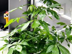 -新东方斯芬克艺术留学作品集培训(郑州校区)