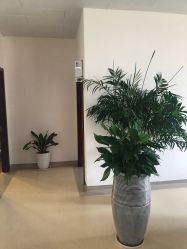点击看大图 -北京家恩德仁医院-妇产科