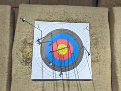 -蓝天射箭馆·专业射箭运动(诚丰广场店)