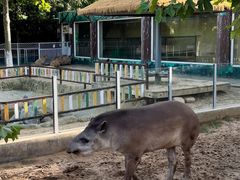 -西霞口神雕山野生动物世界