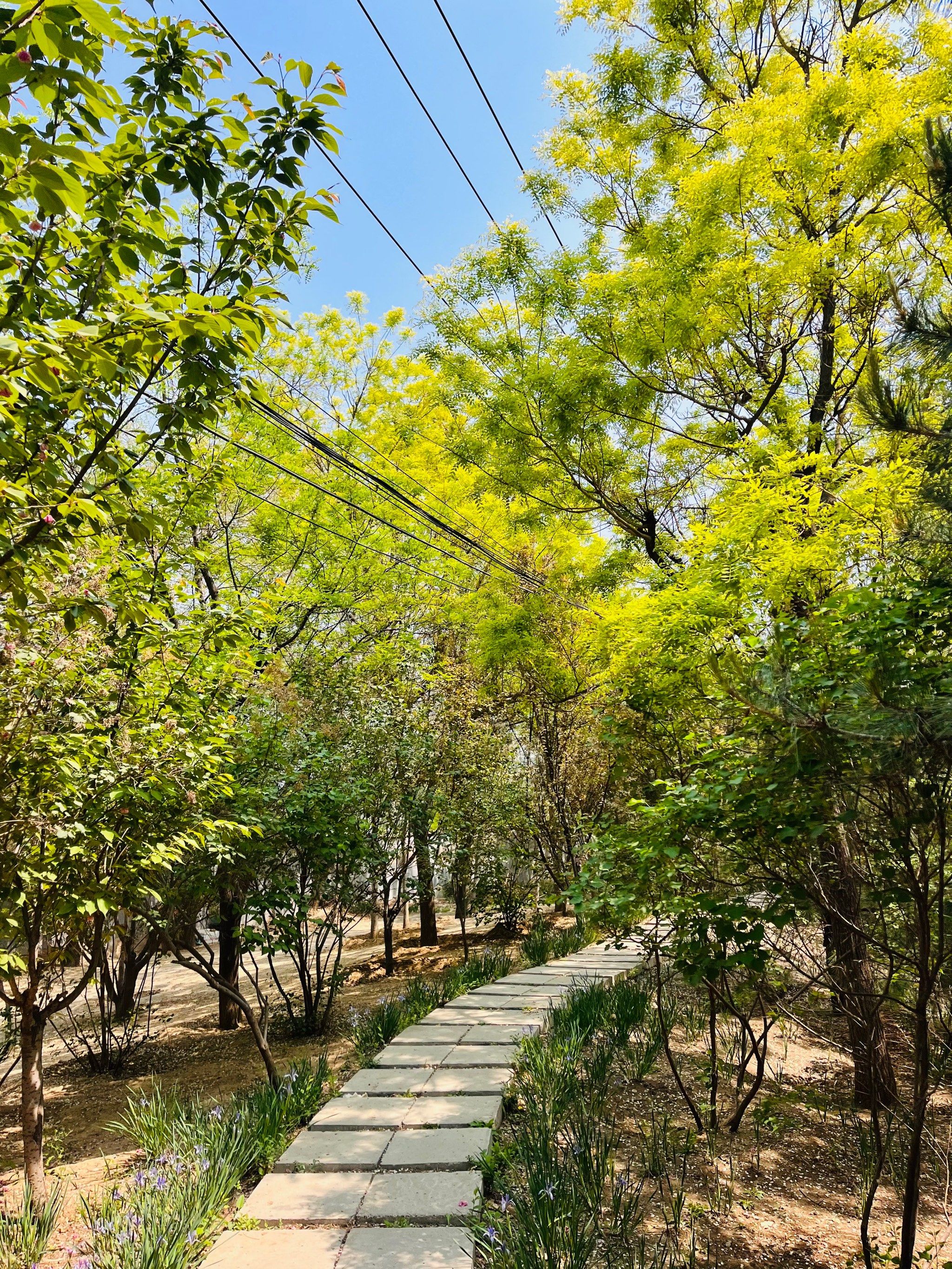 百子湾休闲公园